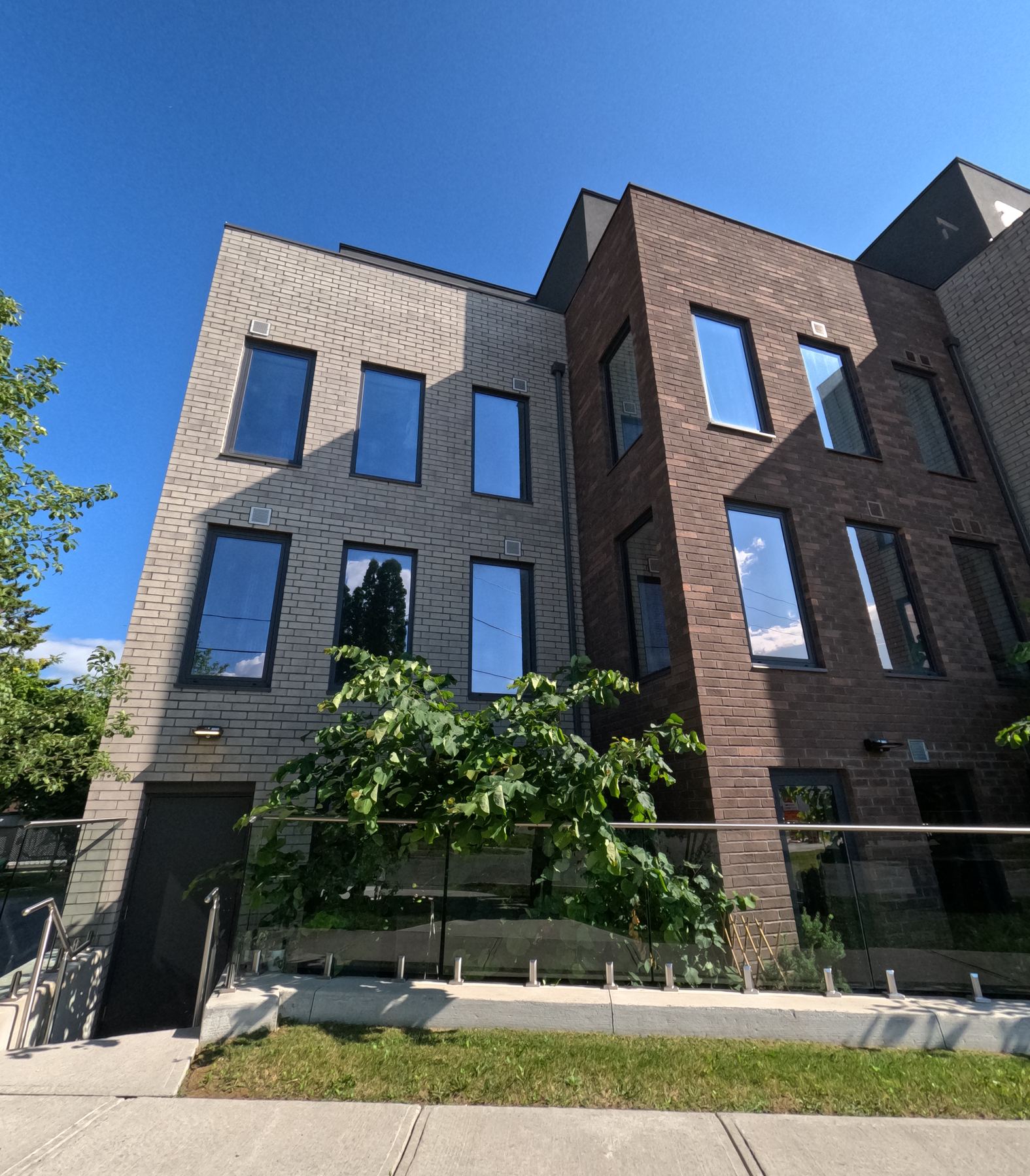 Mature trees at CAEEDAR, 325 University Ave W Cobourg