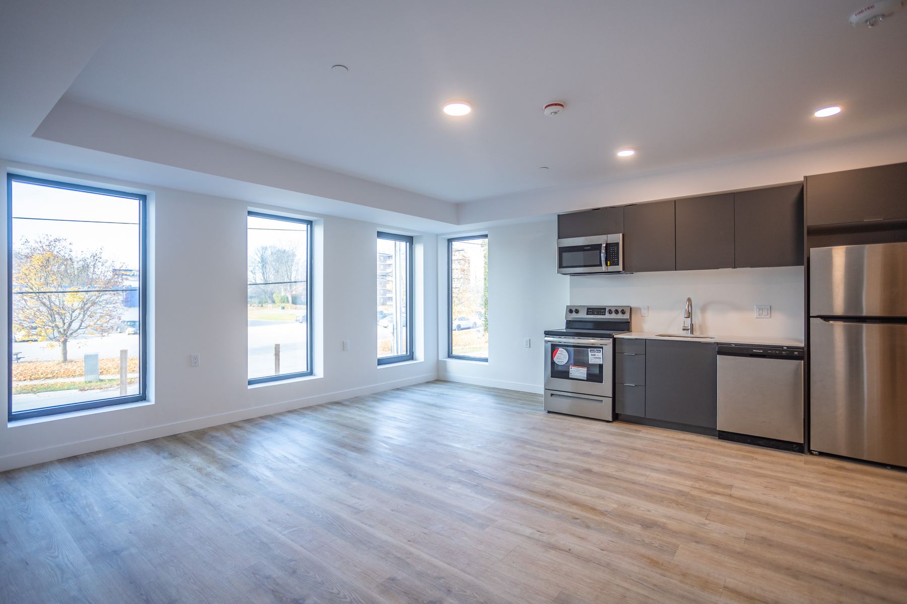 1 Bedroom + Den, suite 316